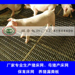 猪床网&广西猪床网&猪床网厂家图片4