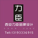 渭南广告公司指南特色设计logo、手提袋、包装