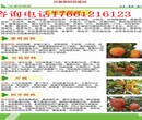 新疆克拉玛依果树苗卖给你想要的果树苗价格图片