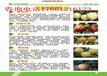 陕西咸阳新品种枣树苗哪里卖的好、新品种枣树苗哪里卖的便宜