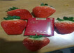 草莓苗品种介绍、草莓苗主产区价格
