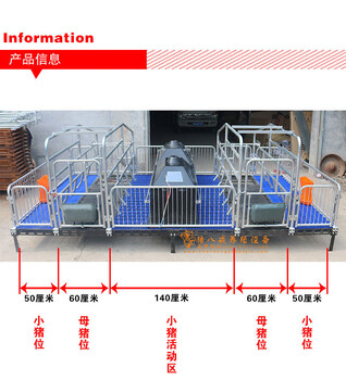 天津猪八戒养殖设备猪用产床价格实惠母猪产床使用年限长久