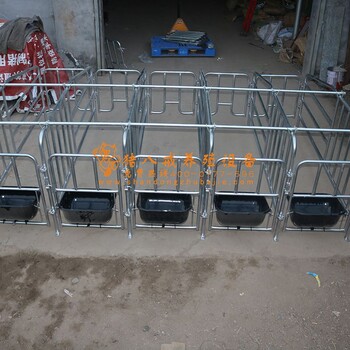 江西定位栏厂家母猪限位栏报价猪用限位栏价格猪用定位栏尺寸