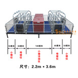 湖南母猪产床报价猪用产床价格猪八戒养殖设备猪产床厂家图片2