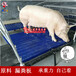 内蒙古猪用保育床厂家直销小猪保育床价格仔猪保育床报价