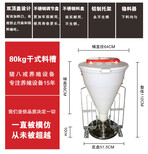 西藏干式料槽厂家西藏细桶干料槽价格猪用料槽图片图片3