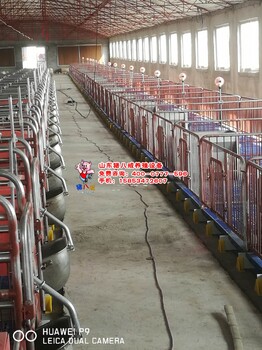 宾阳县母猪产床,厂家母猪产床找山东猪八戒养猪设备母猪产床