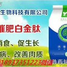 牛吃什么长的快,牛吃什么长膘快图片
