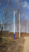 8米40瓦信阳太阳能路灯，乡村照明信阳太阳能灯