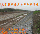水利用网雷诺护垫河北厂家，黑龙江格宾护垫网垫报价图片