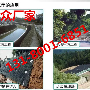 河堤护坝宾格网/岸坡防护格宾网/海岸防护工程格宾网