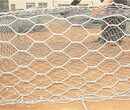 热镀锌钢丝石笼网-2米宽石笼网箱-宾格石笼网多钱一平