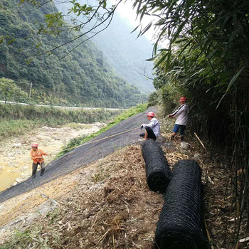 200克聚丙烯加筋麥克墊廠家報價-利眾