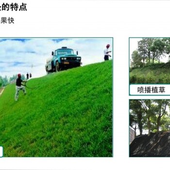 卷狀護(hù)坡加筋麥克墊施工固定熱鍍鋅加筋麥克墊
