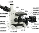 三目倒置金相显微镜4XC-W北京金相分析仪-年底折扣优惠图片