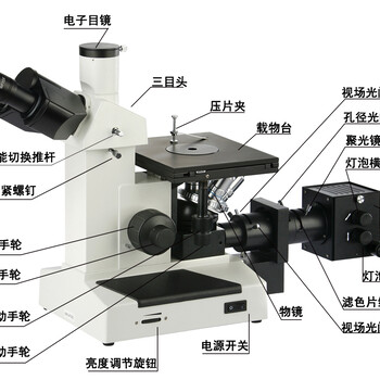 浙江便携金相显微镜BJ-X大型金相显微镜生产厂家