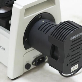 湖北武汉汉口-手持便携金相显微镜BJ-X