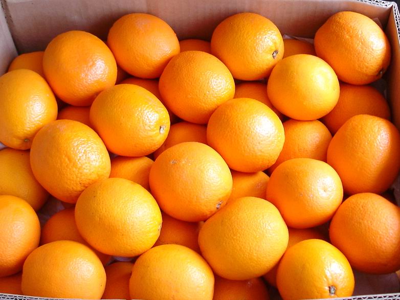 【橙子】-橙子价格-橙子报价-橙子批发-水果网