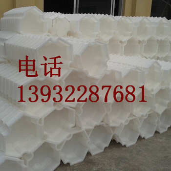 甘肃省六角护坡砖塑料模具