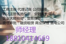 公司验资走账美化报表图片0