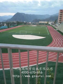贵州省铜仁市国家标准塑胶跑道材料，球场施工