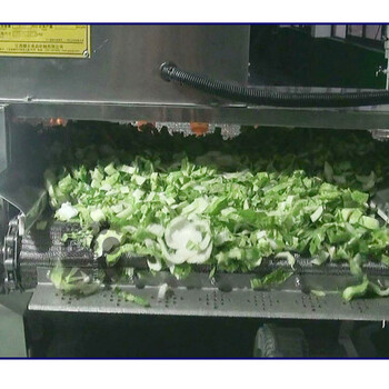 大型果蔬气泡清洗机臭氧消毒去除农药残留中央厨房流水线设备