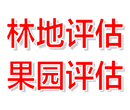 四川名贵树木评估名贵树种评估中草树木评估图片