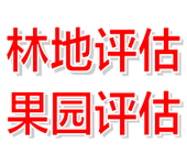 四川名贵树木评估名贵树种评估中草树木评估