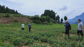 黄石果园果树资产评估标准,果园果树价值评估图片0