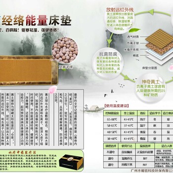 麗薇雅遠(yuǎn)紅外線水療溫敷能量床墊