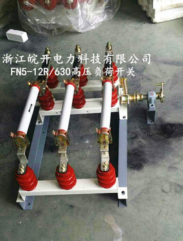 FKN12-12R/125挂墙式高压负荷开关带熔管