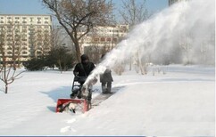 河北五星小型除雪机/全自动小型除雪机/冬季扫雪机图片2