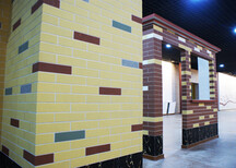 丽水软瓷砖研发中心图片2