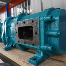 凸轮转子泵选型、湖北转子泵厂家报价、选罗德橡胶转子泵品牌图片