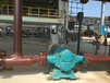 福建高粘度凸轮转子泵_高粘度凸轮转子泵排行_罗德转子泵厂家
