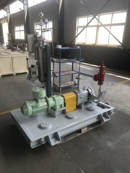 罗德活塞转子泵RDD系列，耐磨损转子泵，强自吸石油化工转子泵