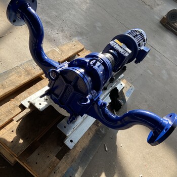 上海RDC55转子泵耐磨损来源于橡胶包覆转子以及低转速设计