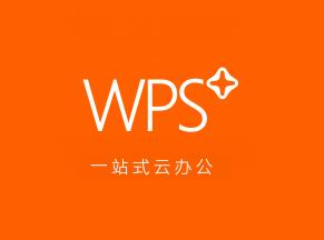 办公软件 金山wps 云办公商业版高级企业版.