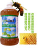 炎熱季節蜜蜂管理要點蜜蜂益生菌em菌液怎么購買價格多少