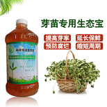 水培花生苗豆苗芽苗菜用什么有机栽培营养液效果好？图片0