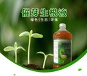 益富源豇豆营养液生根水的使用方法及种植技术图片