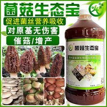 菌菇生态宝的作用原理和使用功效农户首选绿色营养液图片