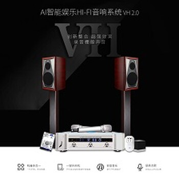 SISO音响扩音系统智能HIFI家庭娱乐套装