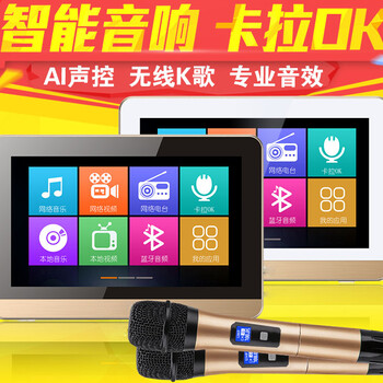 新款綠惠康LHK-900k家庭K歌背景音樂系統(tǒng)配2個無線話筒