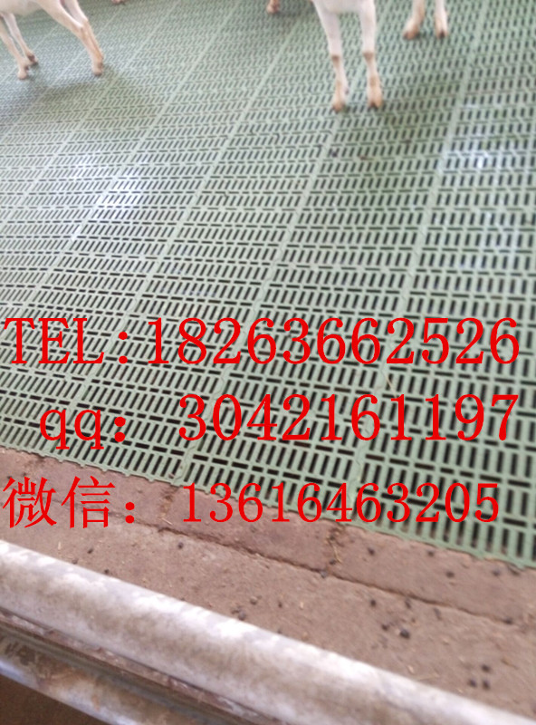 塑料羊地板塑料漏糞地板廠家羊場(chǎng)專用漏糞板
