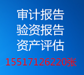 河南郑州企业年度服务外包业务专项审计报告,服务外包业务