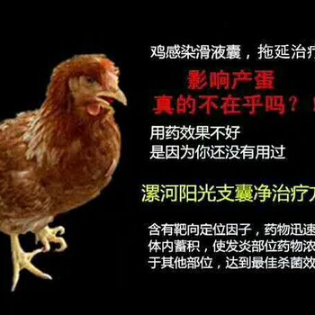 蛋鸡滑膜炎该怎么治疗，滑液囊支原体是怎么回事？