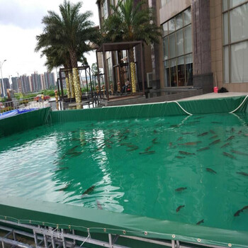 深圳廠家定做帆布儲水池篷布魚池戶外游樂場帆布游泳池加工