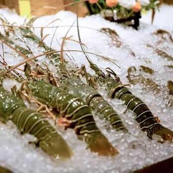 上海厄瓜多尔白虾进口报关流程代理