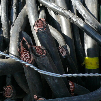 牡丹江电缆回收-废旧电缆回收(价格)今日上涨和下跌幅度
